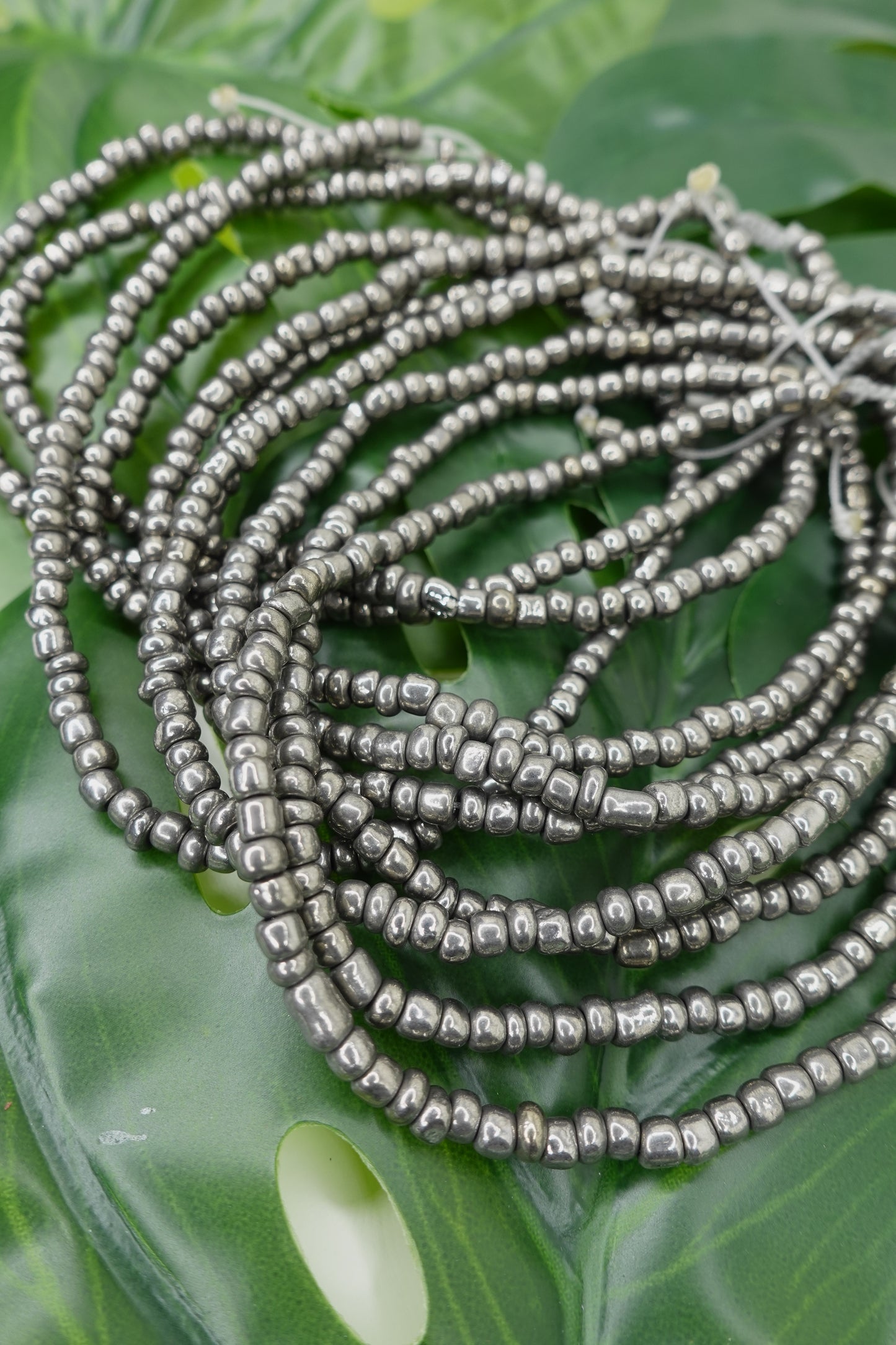 Silver Eclipse