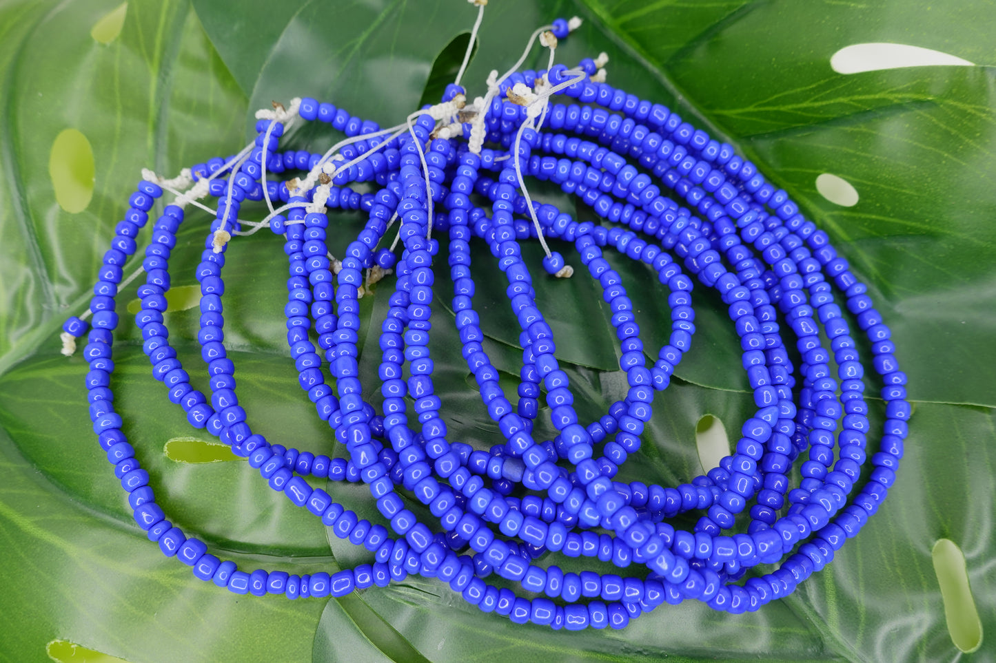 Deep Blue Bliss