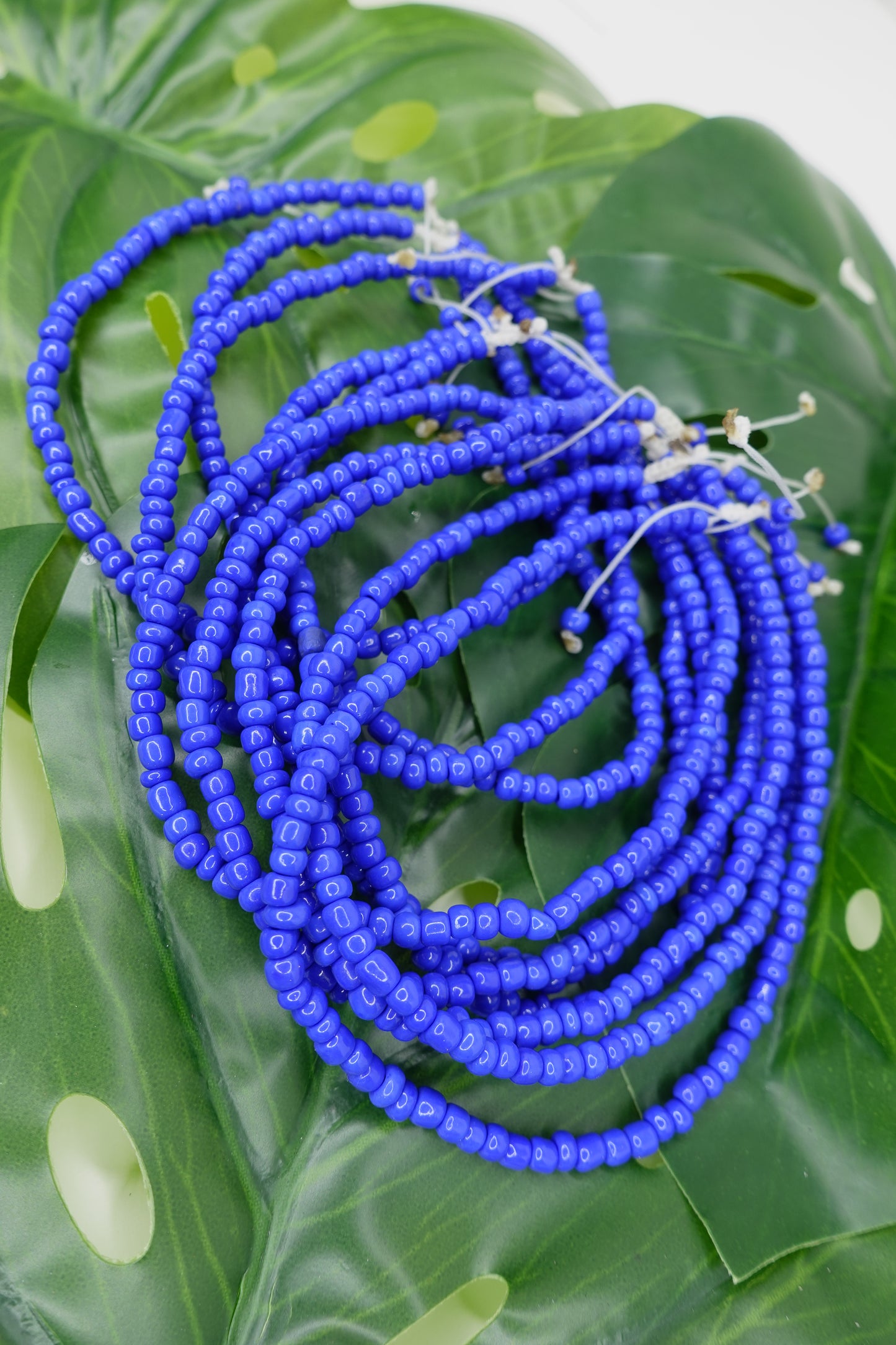 Deep Blue Bliss