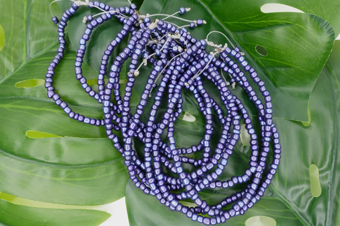 Indigo Moon