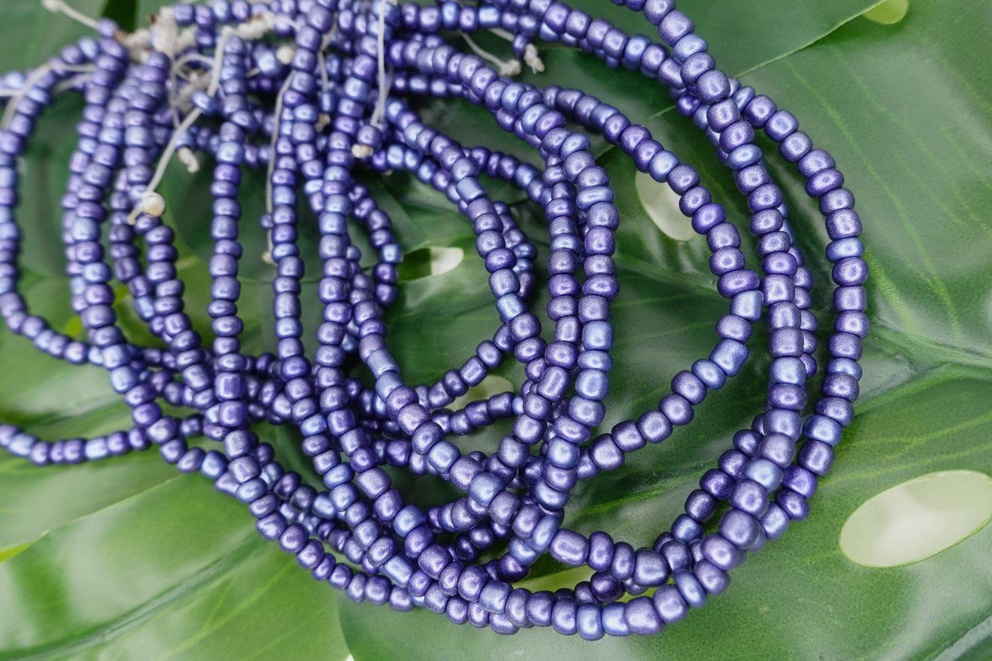 Indigo Moon