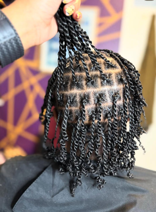 Starter Locs (Full Head ONLY )